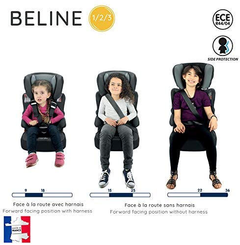 Seggiolino auto NANIA Beline - Gruppo 1/2/3 - (9-36 Kg) - produzione francese 100% - protezioni laterali - Disney Luxe Toy Story