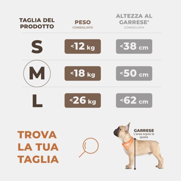 Wuglo Seggiolino Auto Extra Stabile per Cani di Piccole e Medie Dimensioni - Seggiolino Cane Auto Rinforzato con 4 Cinghie di Fissaggio - Trasportino per Cani Auto Impermeabile per Sedile Posteriore