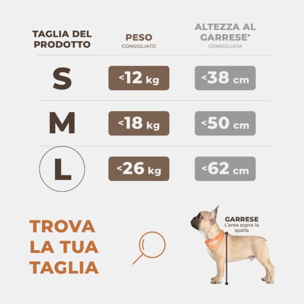 Seggiolino Auto Extra Stabile per Cani di Piccole e Medie Dimensioni - Seggiolino Cane Auto Rinforzato con 4 Cinghie di Fissaggio - Trasportino per Cani Auto Impermeabile per Sedile Posteriore